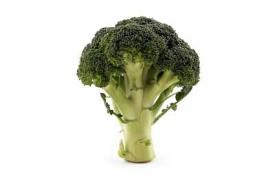 Floret Of Broccoli