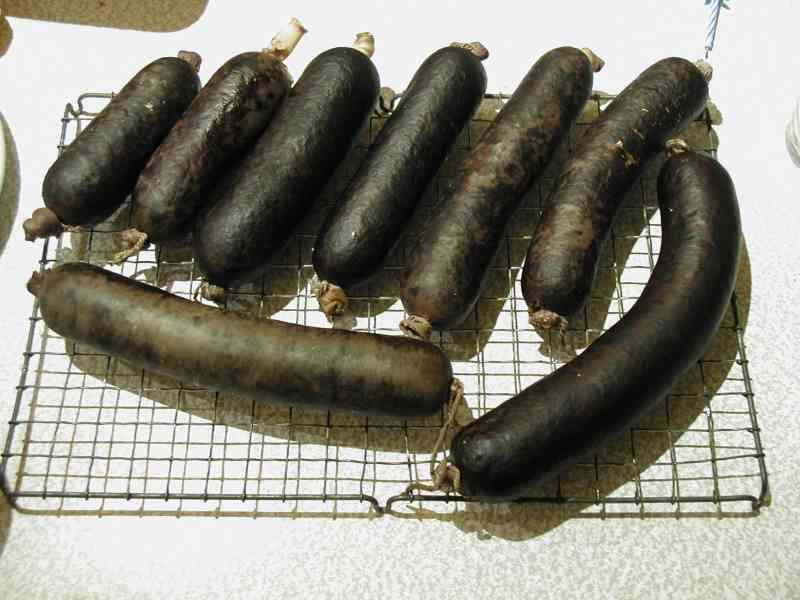 Russian teen massages black sausage image