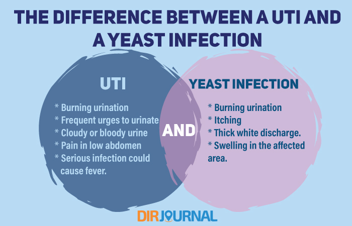 The Difference Between A UTI And A Yeast Infection DirJournal Blogs